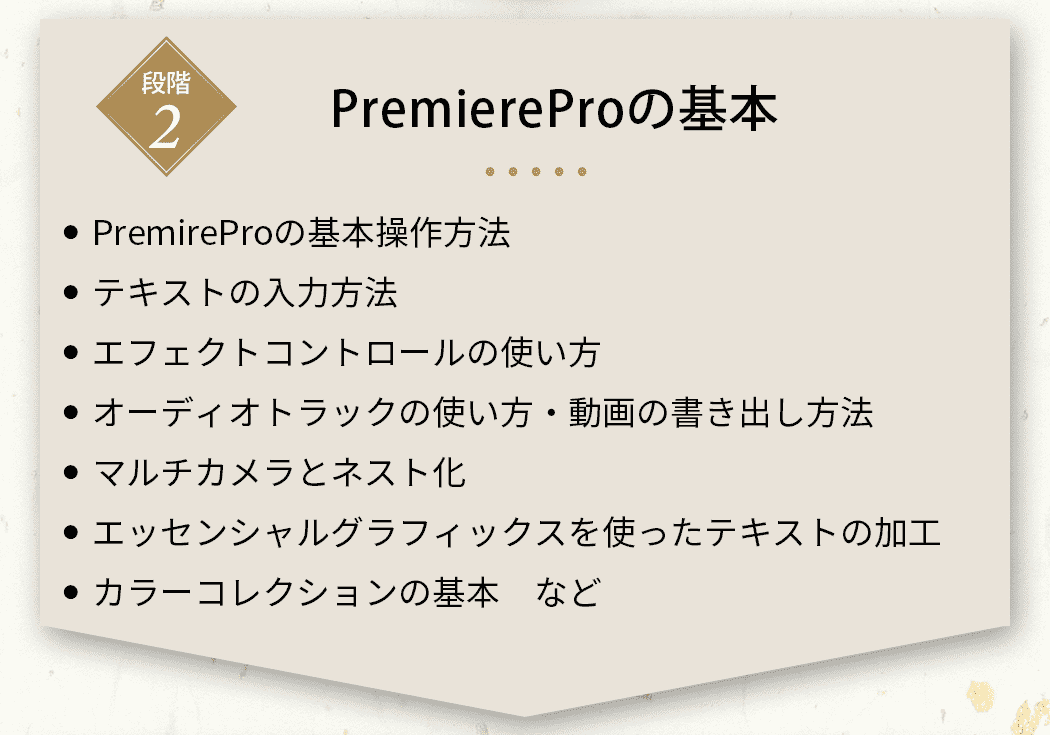PremiereProの基本 PremireProの基本操作方法/テキストの入力方法/エフェクトコントロールの使い方/オーディオトラックの使い方・動画の書き出し方法/マルチカメラとネスト化/エッセンシャルグラフィックスを使ったテキストの加工/カラーコレクションの基本 など