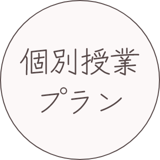 プラン例のイメージ画像：個別授業プラン